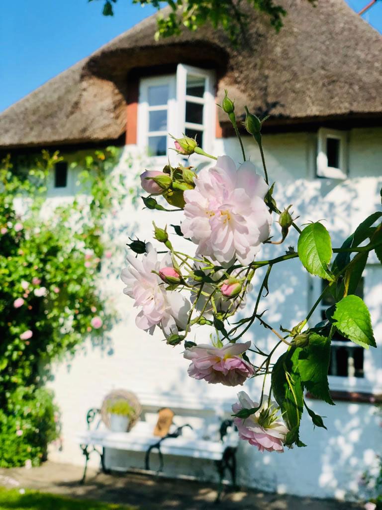 Ferienhaus Föhrliebt | Hausansicht